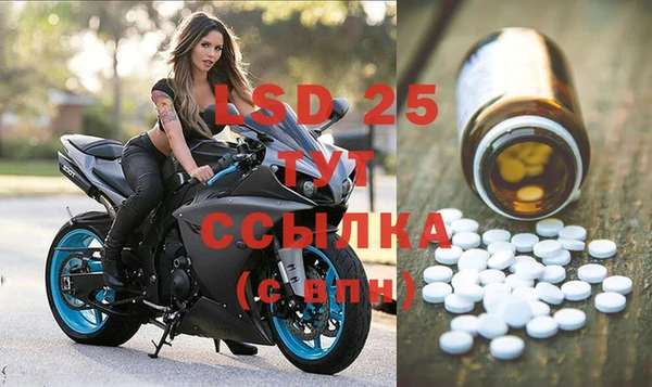 ГАЛЛЮЦИНОГЕННЫЕ ГРИБЫ Вязьма