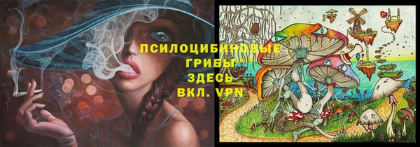 не бодяженный Вяземский