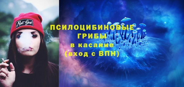 не бодяженный Вяземский